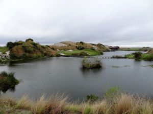 Streamsong (Blue) 7th Side Brush